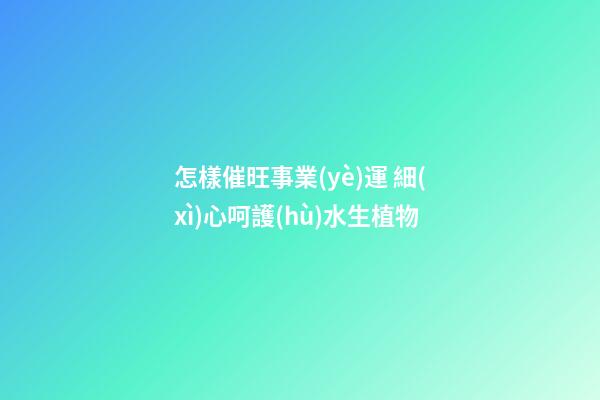 怎樣催旺事業(yè)運 細(xì)心呵護(hù)水生植物